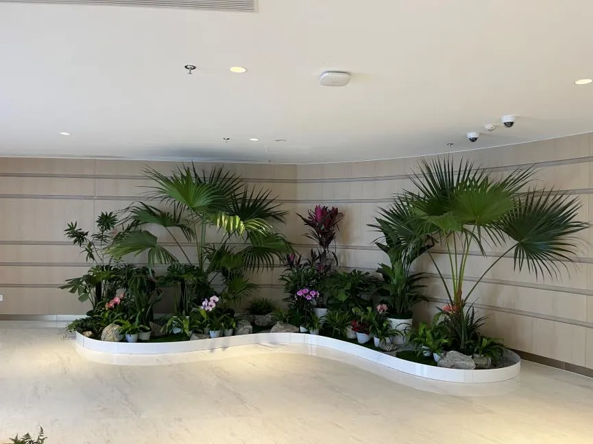 想让空间焕新？余姚花木租摆公司来助力